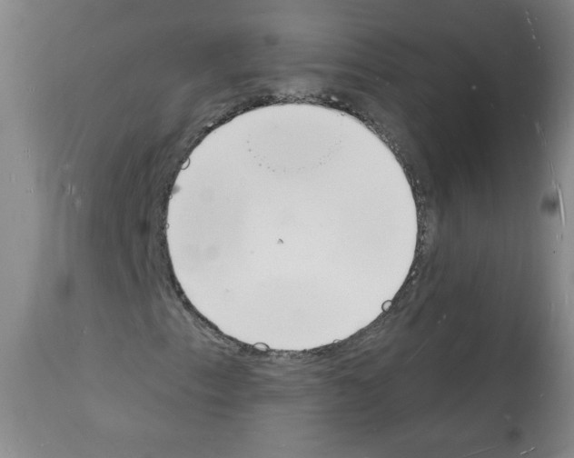 X0000112141153200909181352