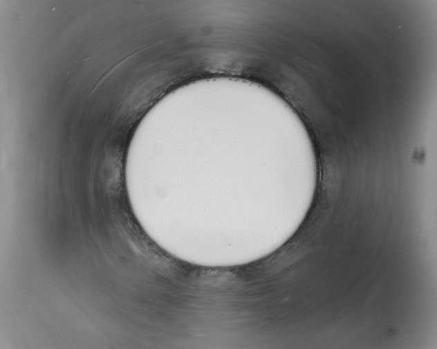 X0000112141154200909181352