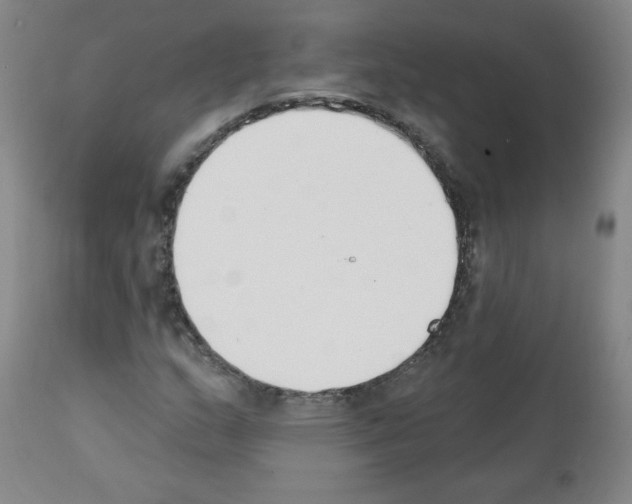 X0000112141159200909181352