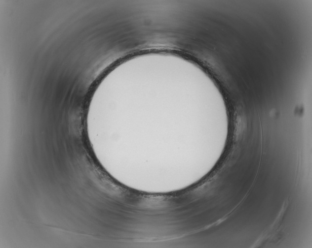 X0000112141162200909181352