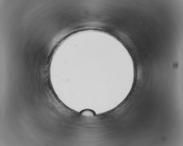 X0000112141164200909181352