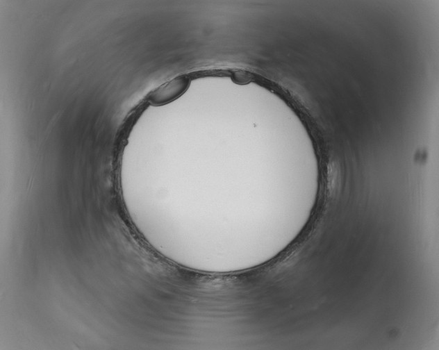 X0000112141165200909181352