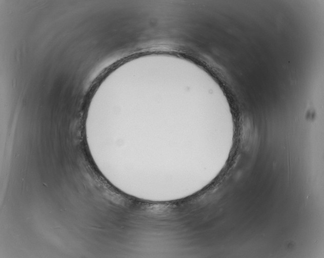 X0000112141166200909181352