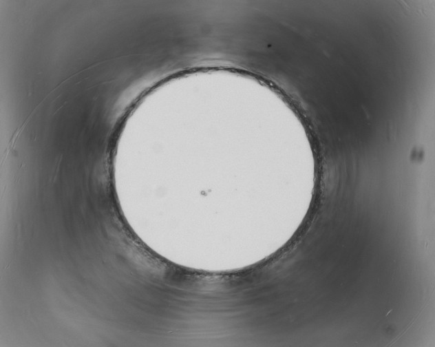 X0000112141167200909181352