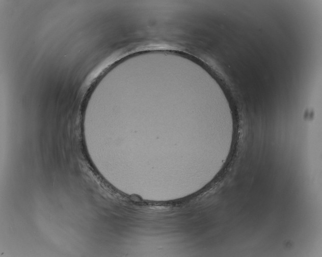 X0000112141173200909181351