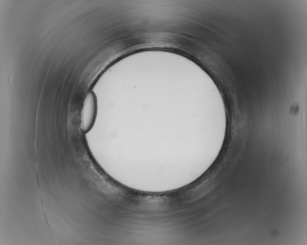 X0000112141177200909181351