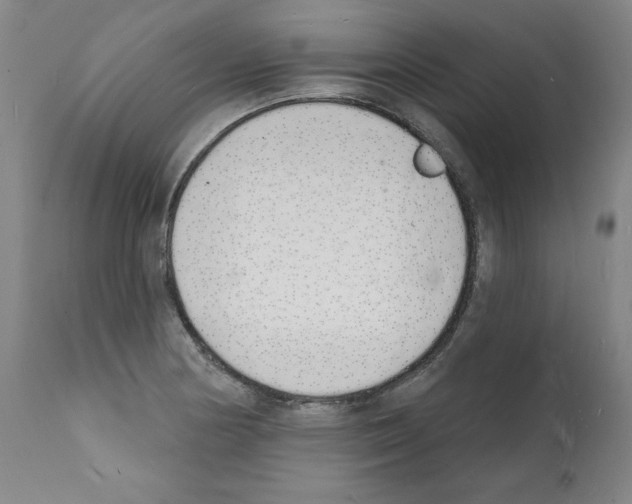 X0000112141178200909181351