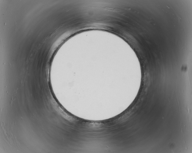 X0000112141180200909181351