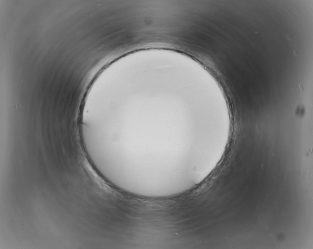 X0000112141181200909181351