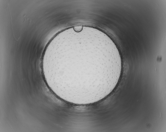 X0000112141182200909181351