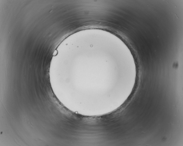 X0000112141185200909181351