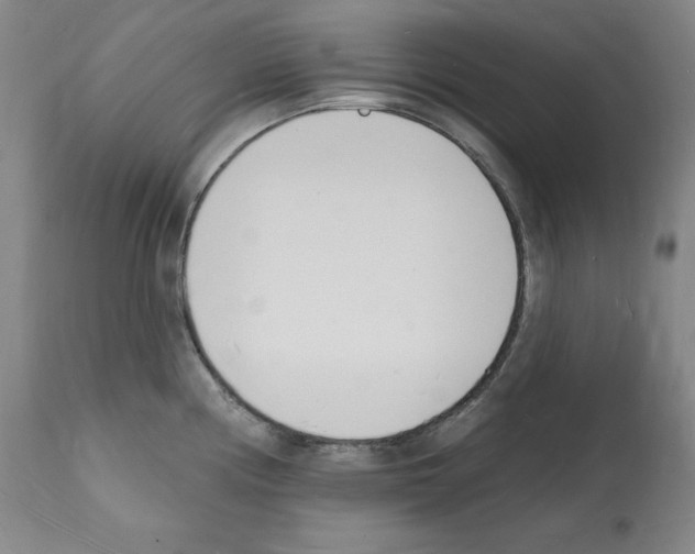 X0000112141194200909181351