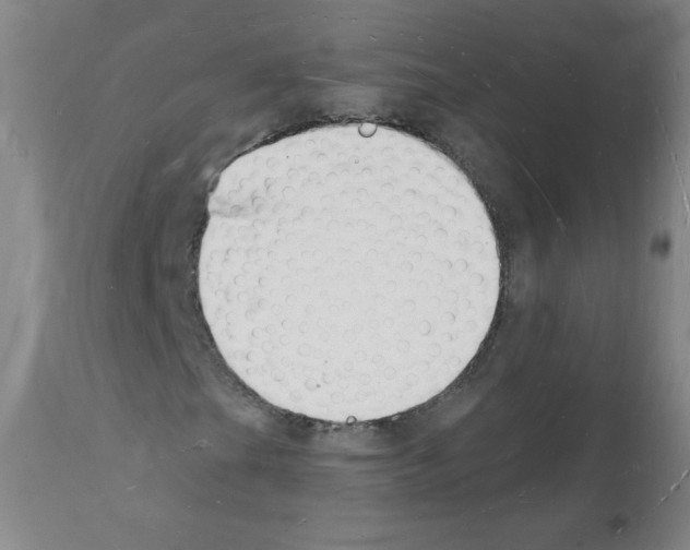 X0000112141201200909181350