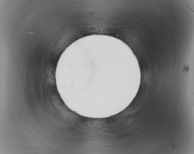 X0000112141202200909181350