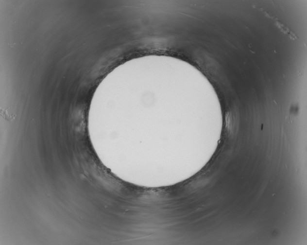 X0000112141203200909181350