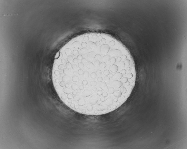 X0000112141205200909181350