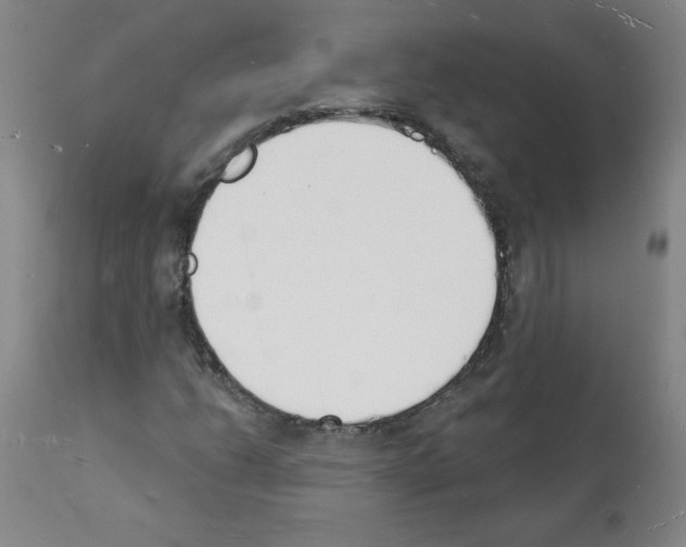 X0000112141206200909181350