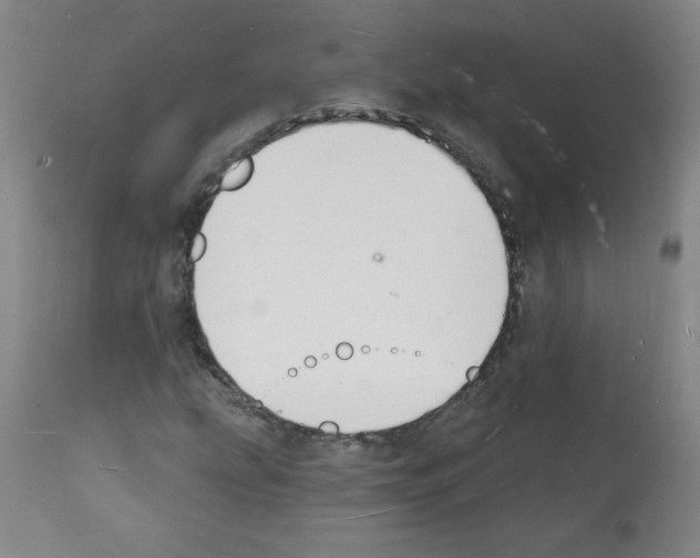 X0000112141207200909181350