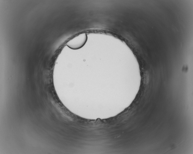 X0000112141208200909181350