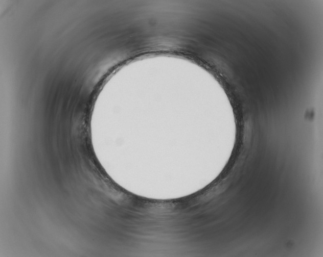 X0000112141210200909181350