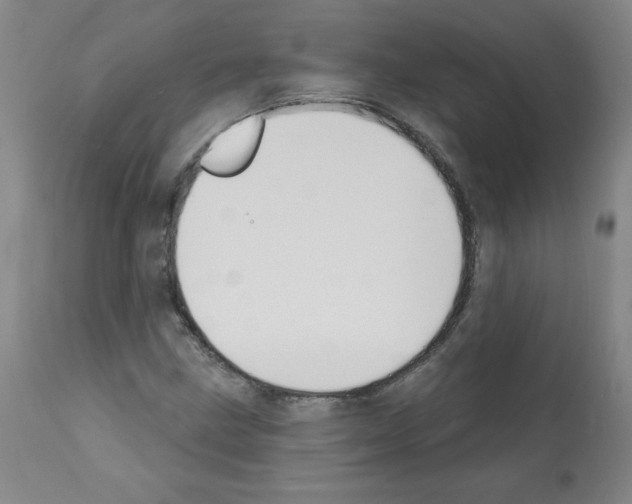 X0000112141211200909181350