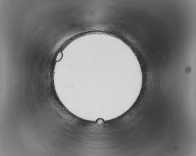 X0000112141214200909181350