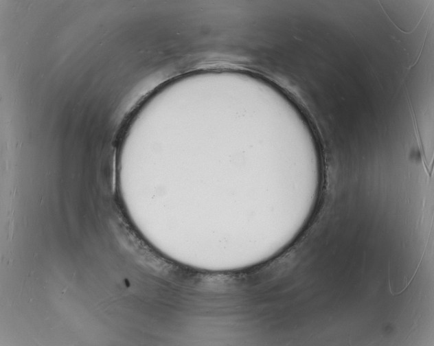 X0000112141219200909181350