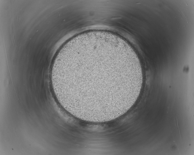 X0000112141229200909181351