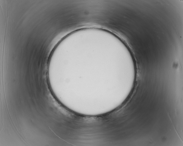 X0000112141231200909181351