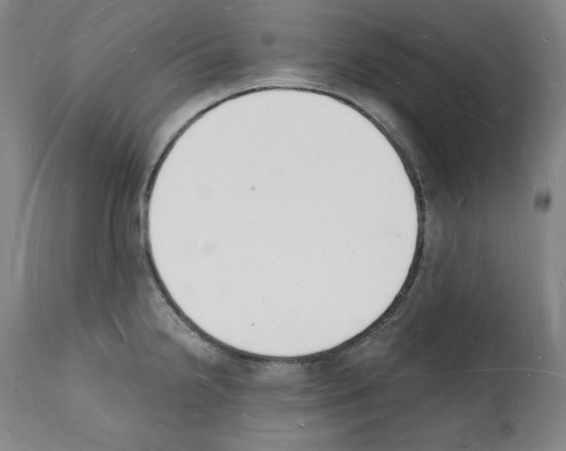 X0000112141238200909181351