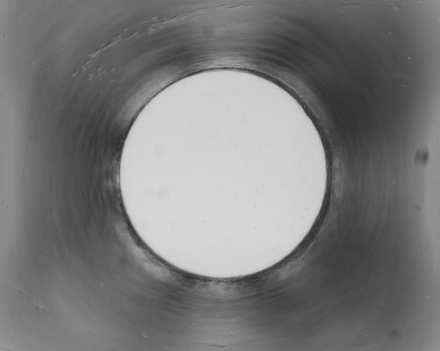 X0000112141241200909181351