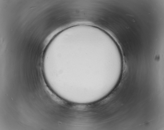 X0000112141245200909181351