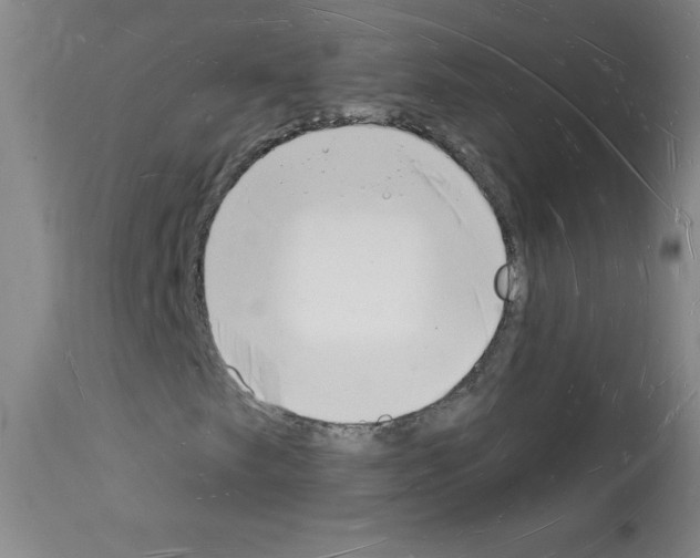 X0000112141249200909181350