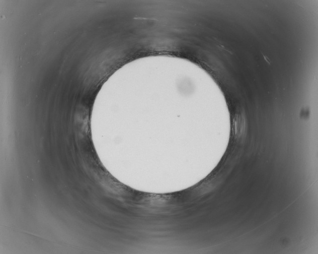 X0000112141251200909181350