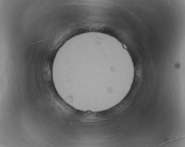 X0000112141252200909181350