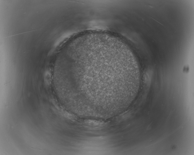 X0000112141254200909181350