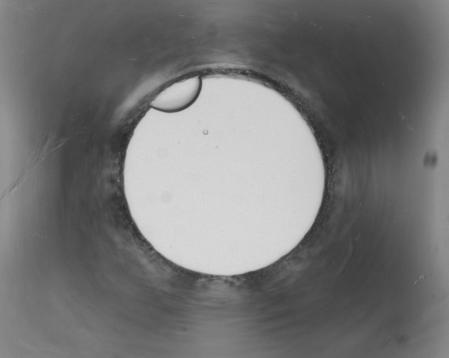 X0000112141255200909181350