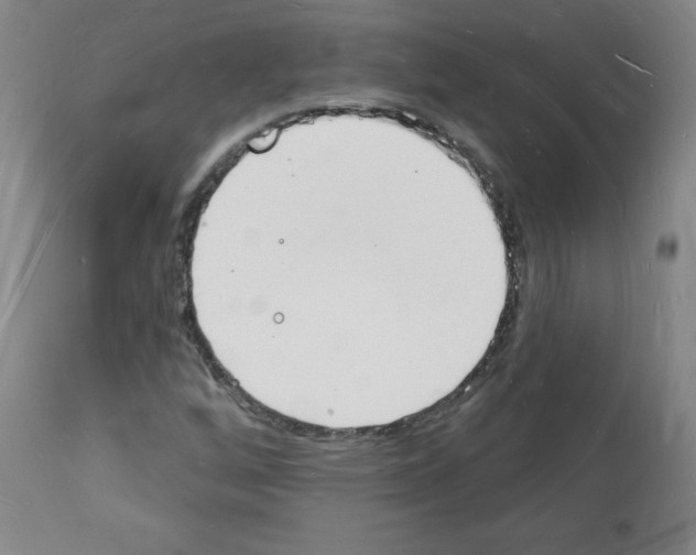 X0000112141256200909181350