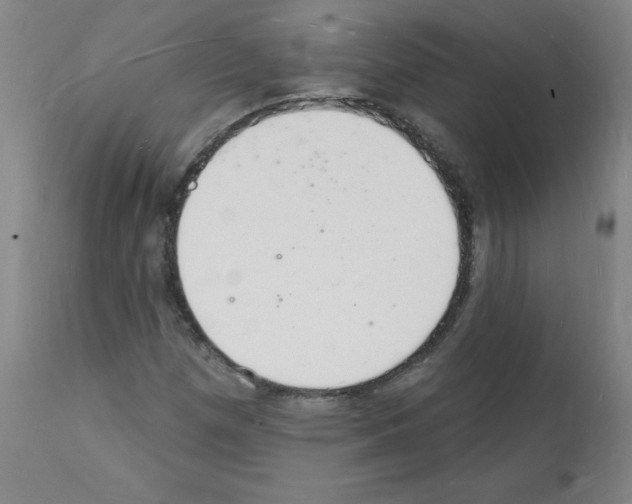 X0000112141257200909181350