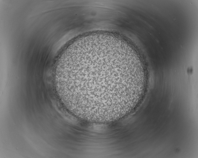 X0000112141258200909181350