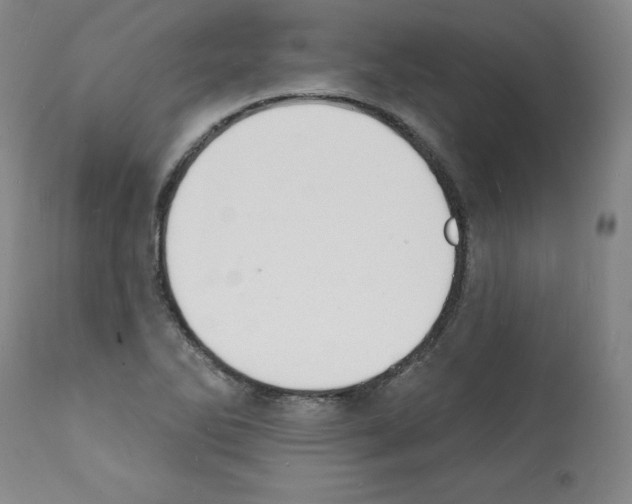 X0000112141270200909181350