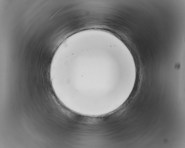 X0000112141273200909181350