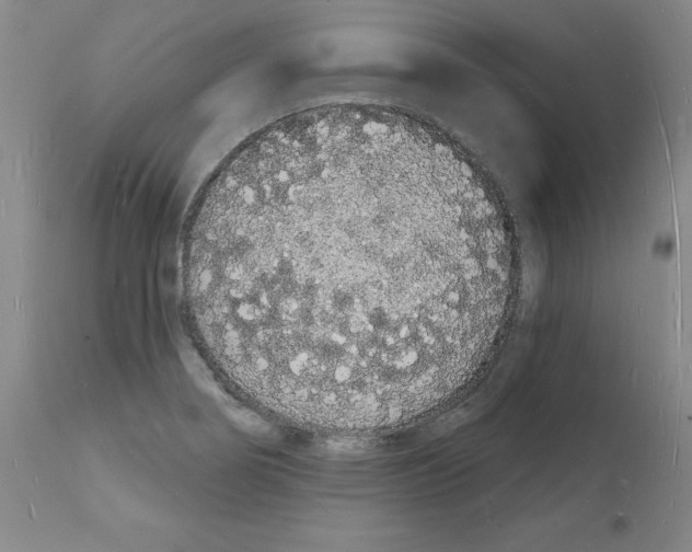 X0000112141274200909181350