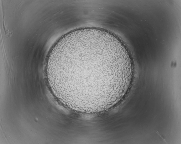 X0000112141278200909181350