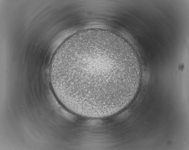 X0000112141282200909181350