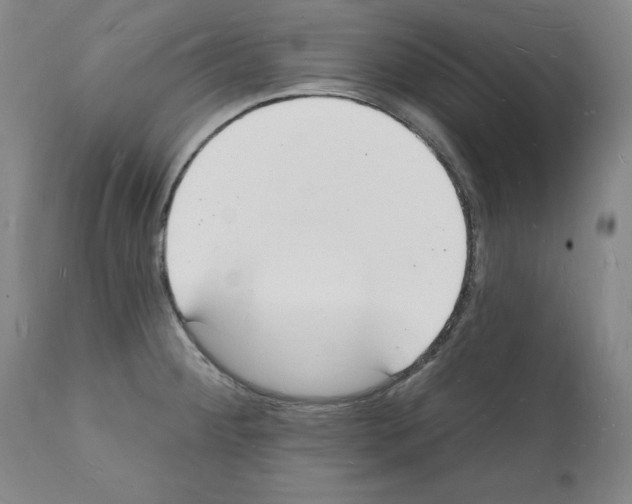 X0000112141284200909181350