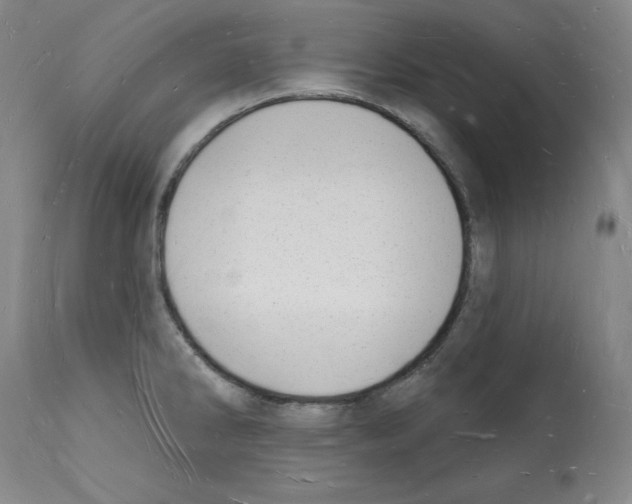 X0000112141286200909181350