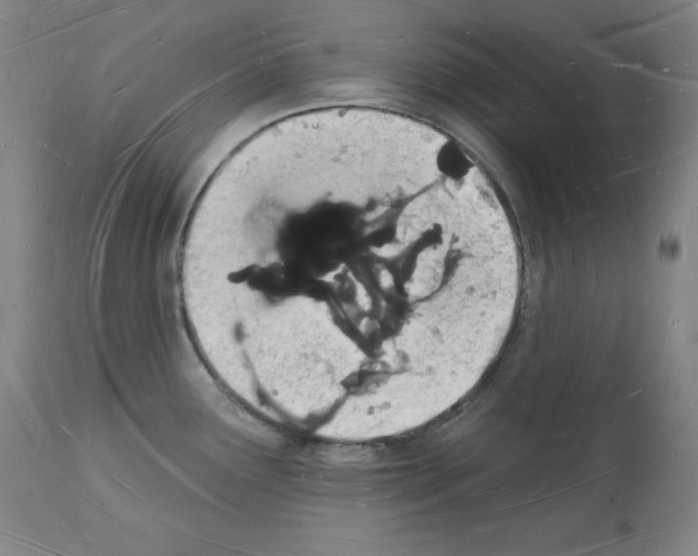 X0000112141291200909181349