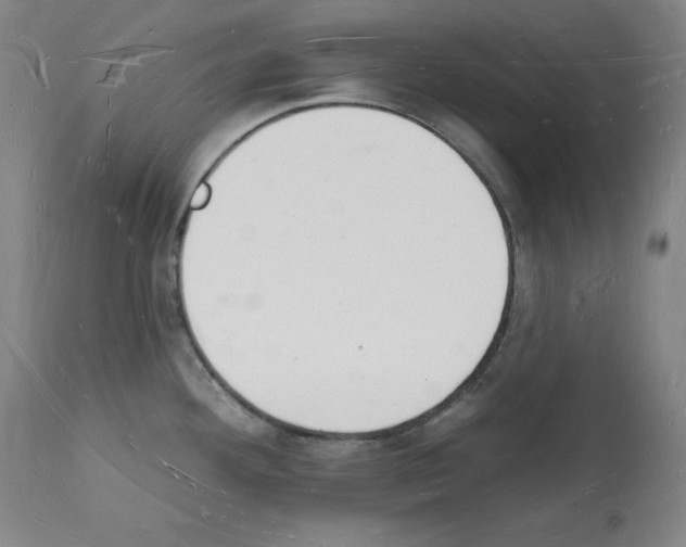 X0000112141292200909181349