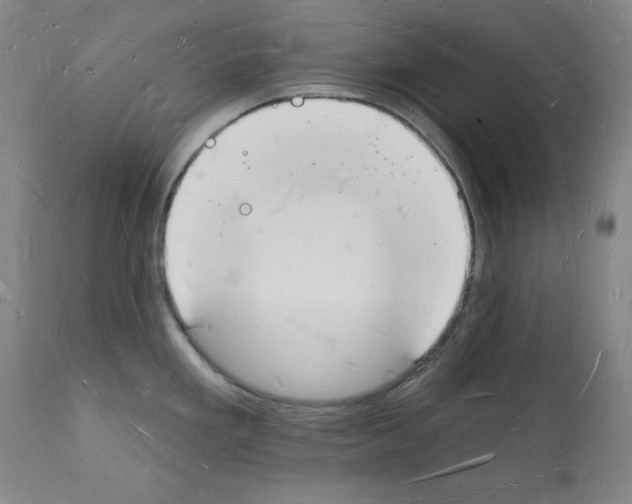 X0000112141293200909181349